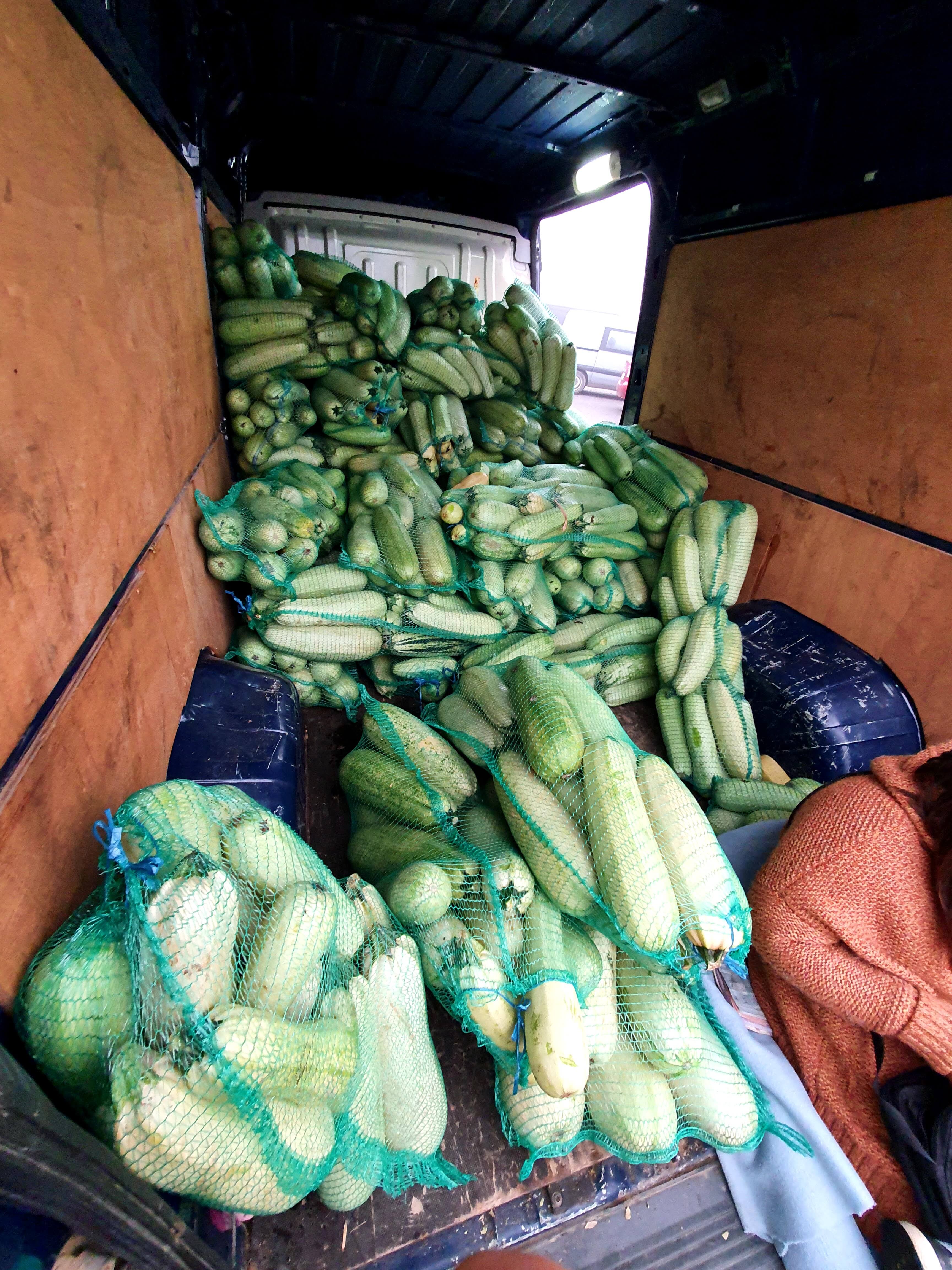 Verkauf von Gemüse und Zucchini aus eigenem Anbau
