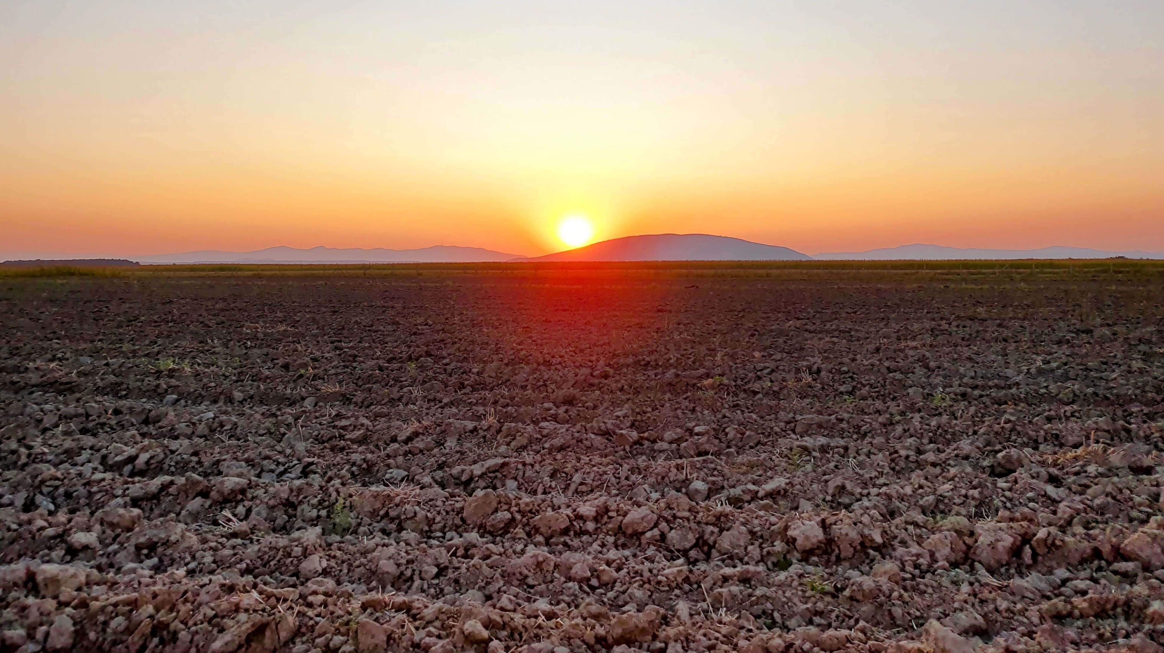 Frisch gepflügte Felder für den Getreideexport bei Sonnenaufgang