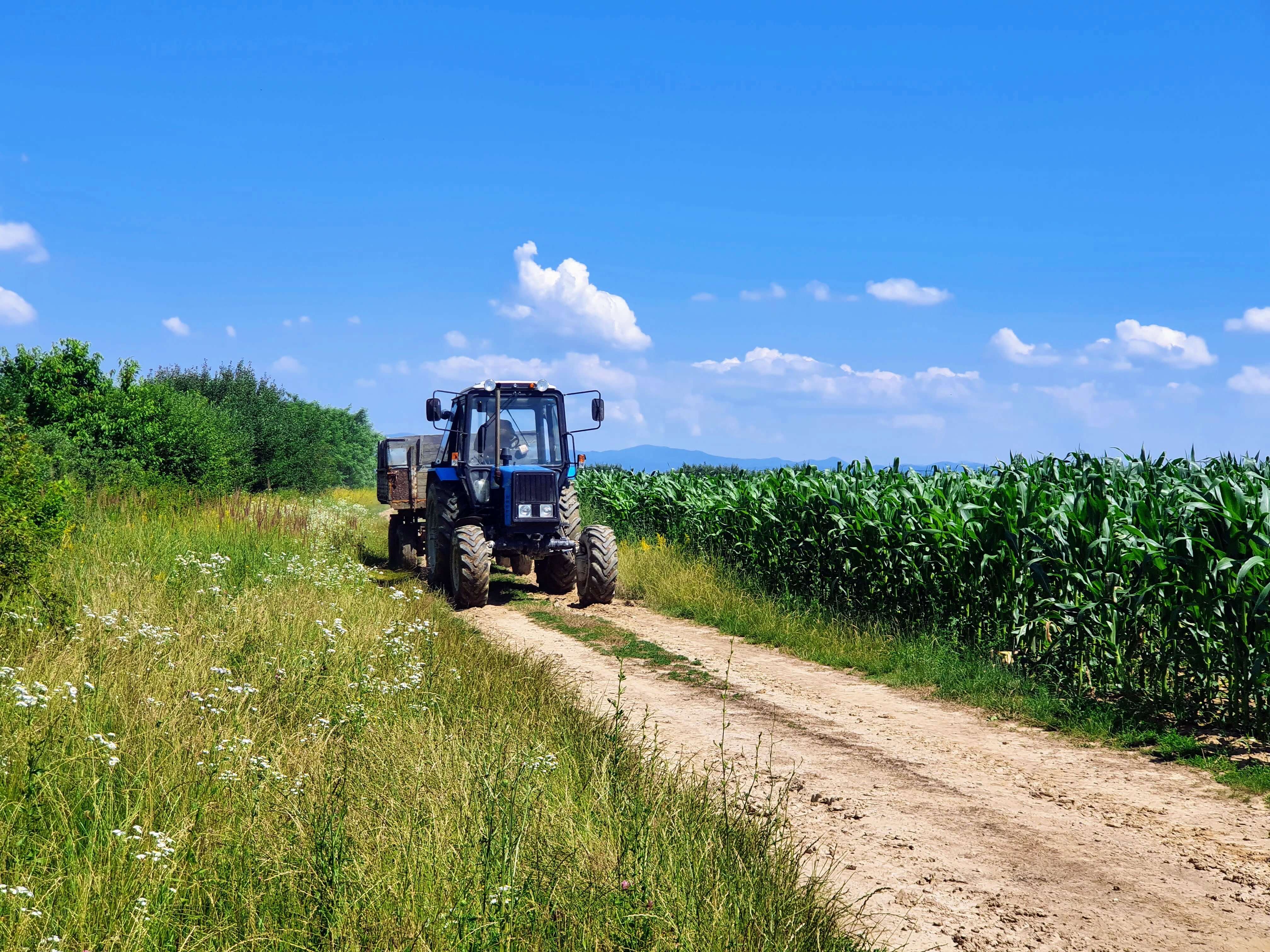 Traktor arbeitet neben unseren Feldern für den Getreideexport